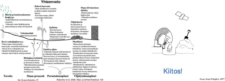 -Vähentää veden lätäköitymistä, Viljelykierto Syväjuuriset ja pintavaluntaa ja maan tiivistymistä.