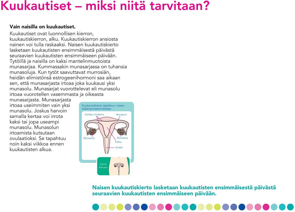 Kummassakin munasarjassa on tuhansia munasoluja. Kun tytöt saavuttavat murrosiän, heidän elimistönsä estrogeenihormoni saa aikaan sen, että munasarjasta irtoaa joka kuukausi yksi munasolu.