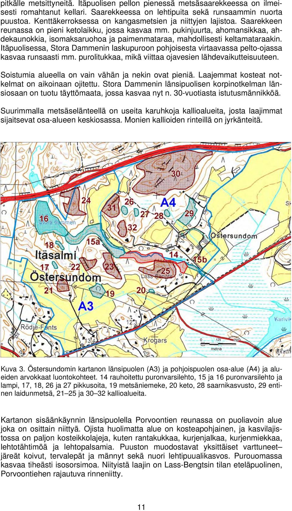 pukinjuurta, ahomansikkaa, ahdekaunokkia, isomaksaruohoa ja paimenmataraa, mahdollisesti keltamataraakin.