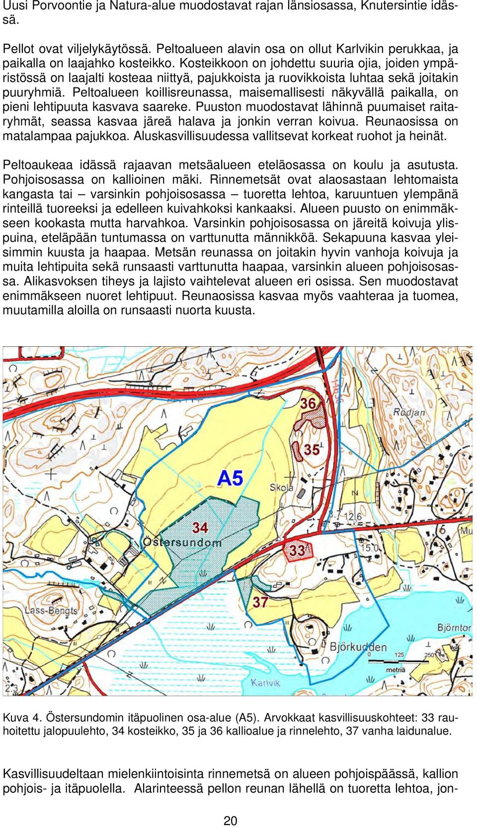 Peltoalueen koillisreunassa, maisemallisesti näkyvällä paikalla, on pieni lehtipuuta kasvava saareke.