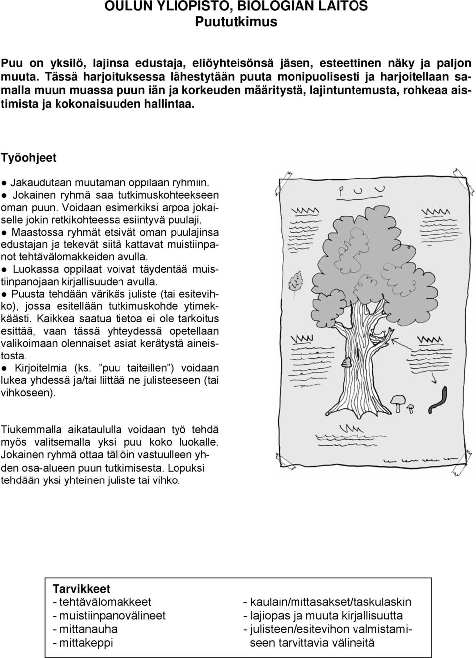 Työohjeet Jakaudutaan muutaman oppilaan ryhmiin. Jokainen ryhmä saa tutkimuskohteekseen oman puun. Voidaan esimerkiksi arpoa jokaiselle jokin retkikohteessa esiintyvä puulaji.