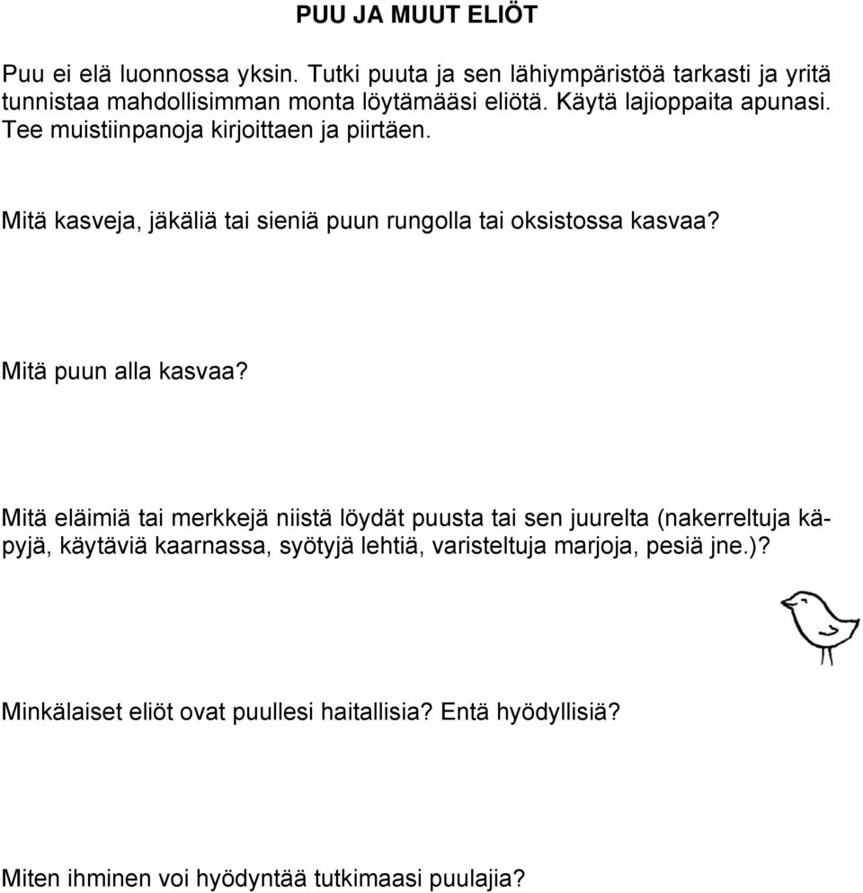 Tee muistiinpanoja kirjoittaen ja piirtäen. Mitä kasveja, jäkäliä tai sieniä puun rungolla tai oksistossa kasvaa? Mitä puun alla kasvaa?