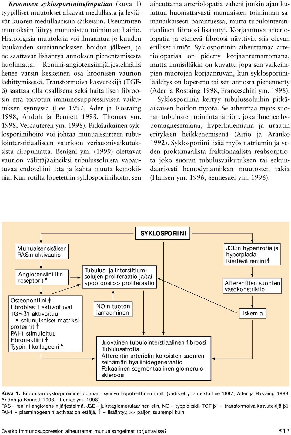 Reniini-angiotensiinijärjestelmällä lienee varsin keskeinen osa kroonisen vaurion kehittymisessä.