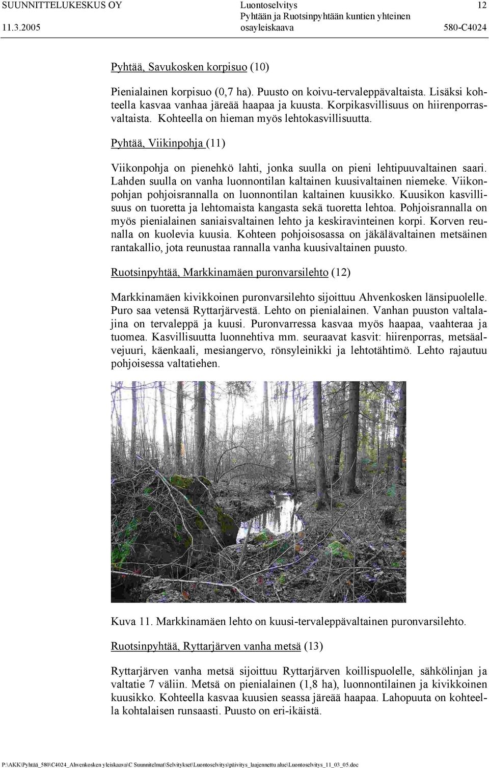 Lahden suulla on vanha luonnontilan kaltainen kuusivaltainen niemeke. Viikonpohjan pohjoisrannalla on luonnontilan kaltainen kuusikko.