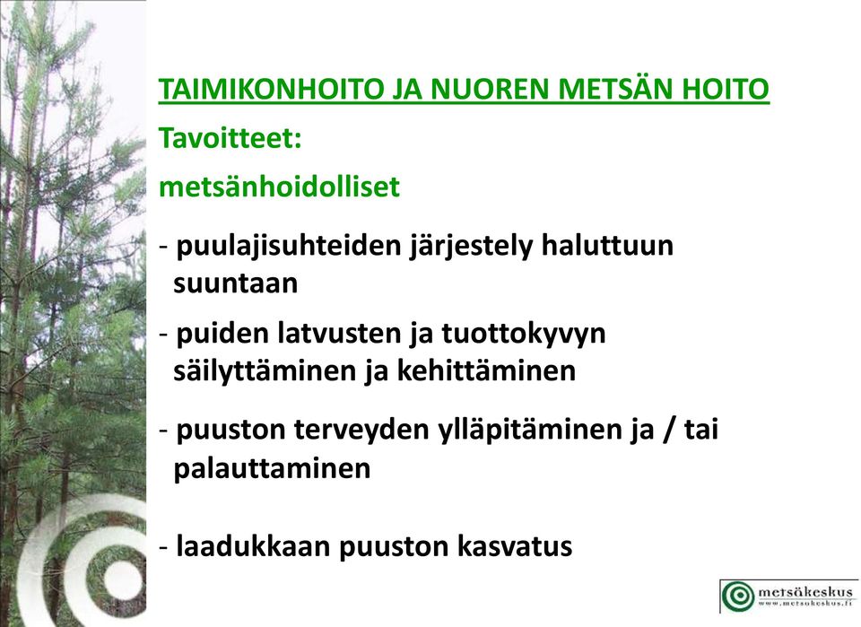 latvusten ja tuottokyvyn säilyttäminen ja kehittäminen - puuston