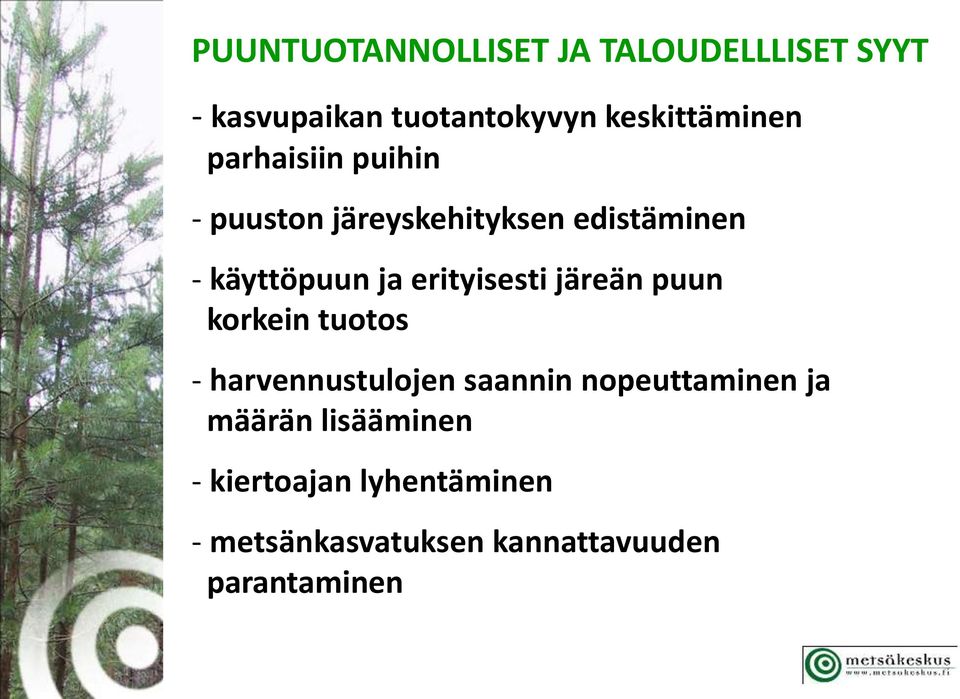 käyttöpuun ja erityisesti järeän puun korkein tuotos - harvennustulojen saannin