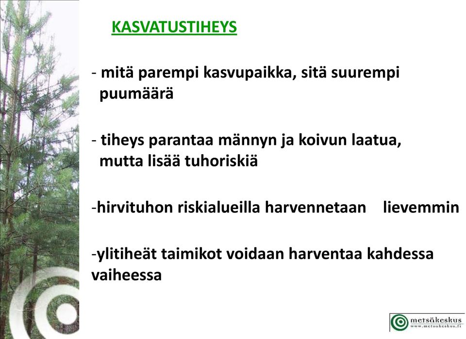 lisää tuhoriskiä -hirvituhon riskialueilla harvennetaan