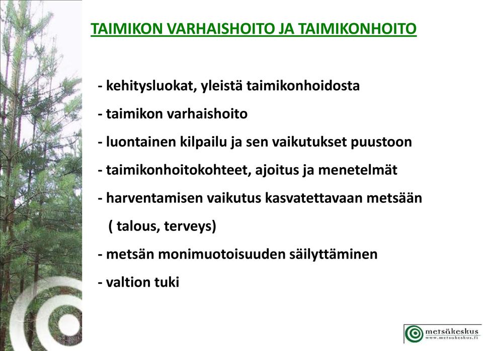 taimikonhoitokohteet, ajoitus ja menetelmät - harventamisen vaikutus