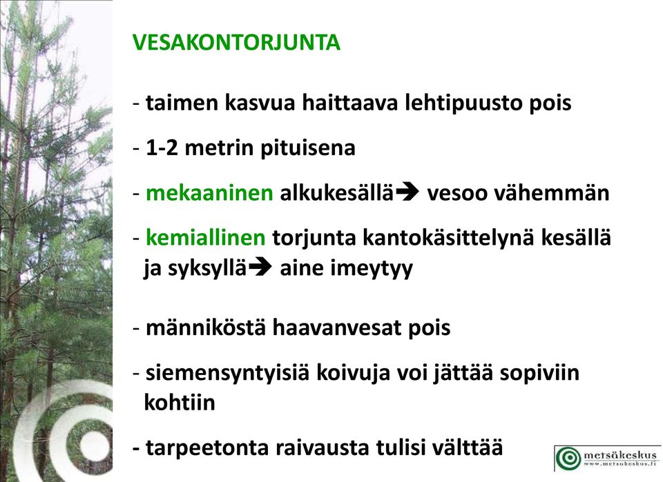 kantokäsittelynä kesällä ja syksyllä aine imeytyy - männiköstä haavanvesat pois