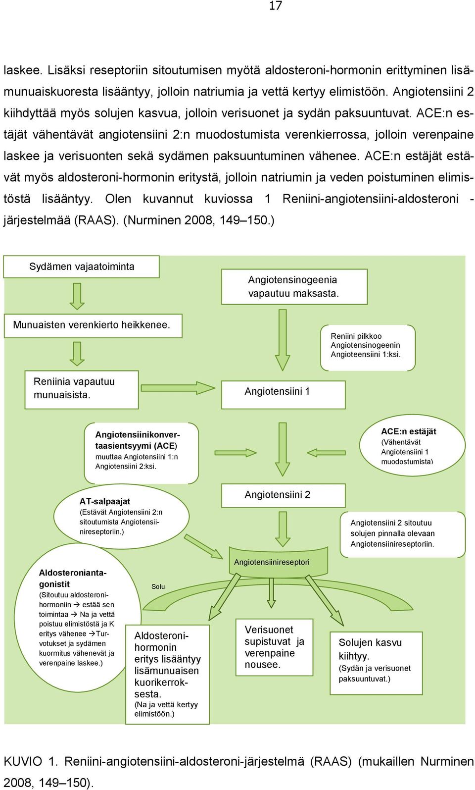 ACE:n estäjät vähentävät angiotensiini 2:n muodostumista verenkierrossa, jolloin verenpaine laskee ja verisuonten sekä sydämen paksuuntuminen vähenee.