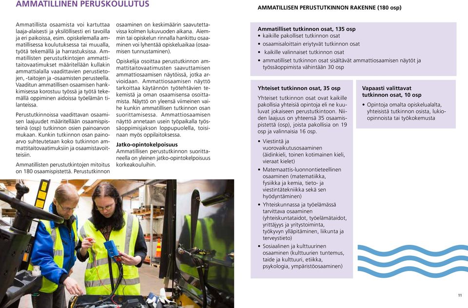 Ammatillisten perustutkintojen ammattitaitovaatimukset määritellään kullakin ammattialalla vaadittavien perustietojen, -taitojen ja -osaamisten perusteella.