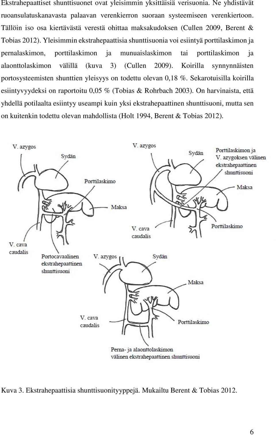 Yleisimmin ekstrahepaattisia shunttisuonia voi esiintyä porttilaskimon ja pernalaskimon, porttilaskimon ja munuaislaskimon tai porttilaskimon ja alaonttolaskimon välillä (kuva 3) (Cullen 2009).