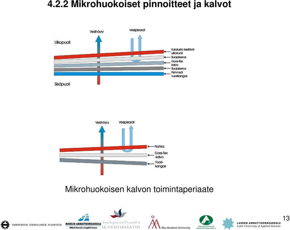 kalvot