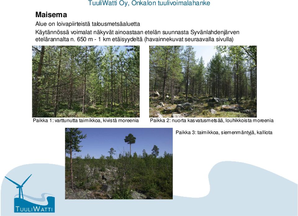 650 m - 1 km etäisyydeltä (havainnekuvat seuraavalla sivulla) Paikka 1: varttunutta taimikkoa,