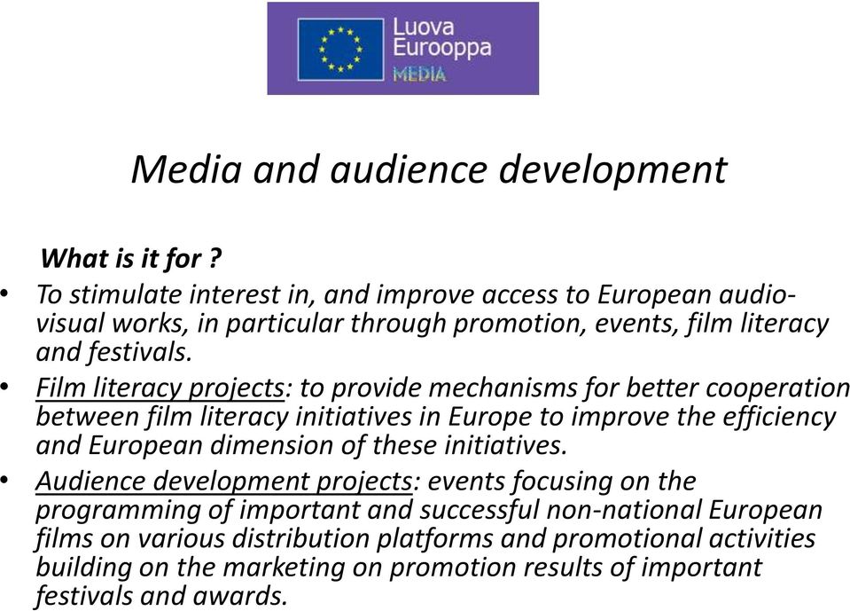 Film literacy projects: to provide mechanisms for better cooperation between film literacy initiatives in Europe to improve the efficiency and European