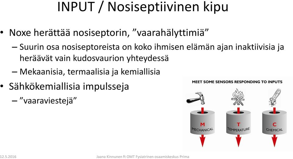 ajan inaktiivisia ja heräävät vain kudosvaurion yhteydessä