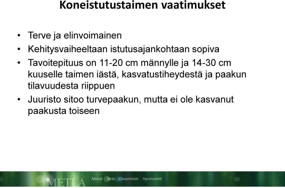 cm kuuselle taimen iästä, kasvatustiheydestä ja paakun tilavuudesta