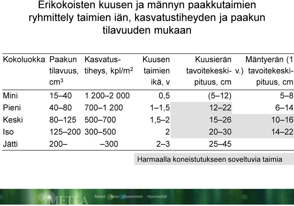 Mäntyerän (1 v.