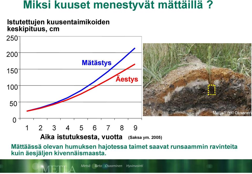 50 0 1 2 3 4 5 6 7 8 9 Aika istutuksesta, vuotta (Saksa ym.