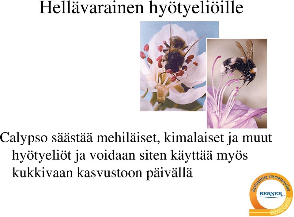 muut hyötyeliöt ja voidaan siten