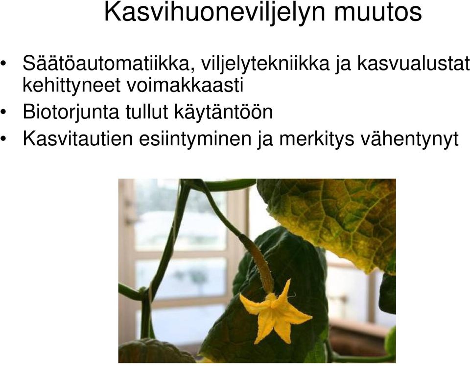 voimakkaasti Biotorjunta tullut käytäntöön