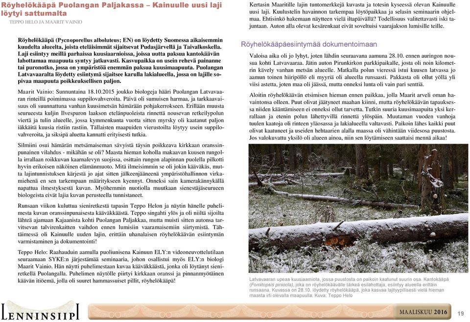 Kasvupaikka on usein rehevä painanne tai puronotko, jossa on ympäristöä enemmän paksua kuusimaapuuta.