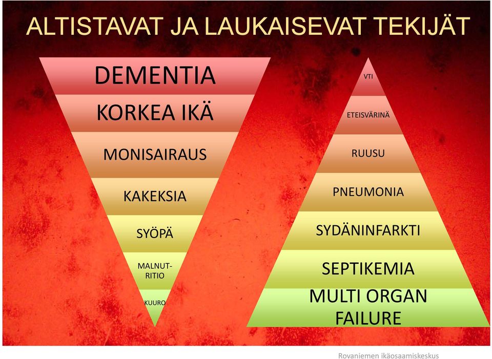 MALNUT RITIO KUURO ETEISVÄRINÄ RUUSU