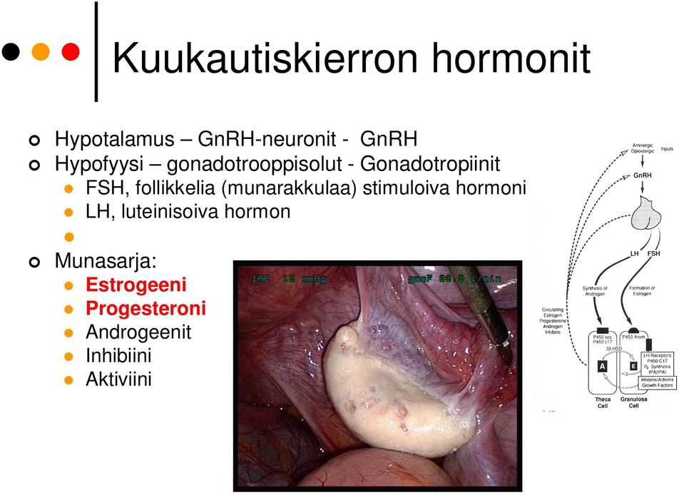 follikkelia (munarakkulaa) stimuloiva hormoni LH,