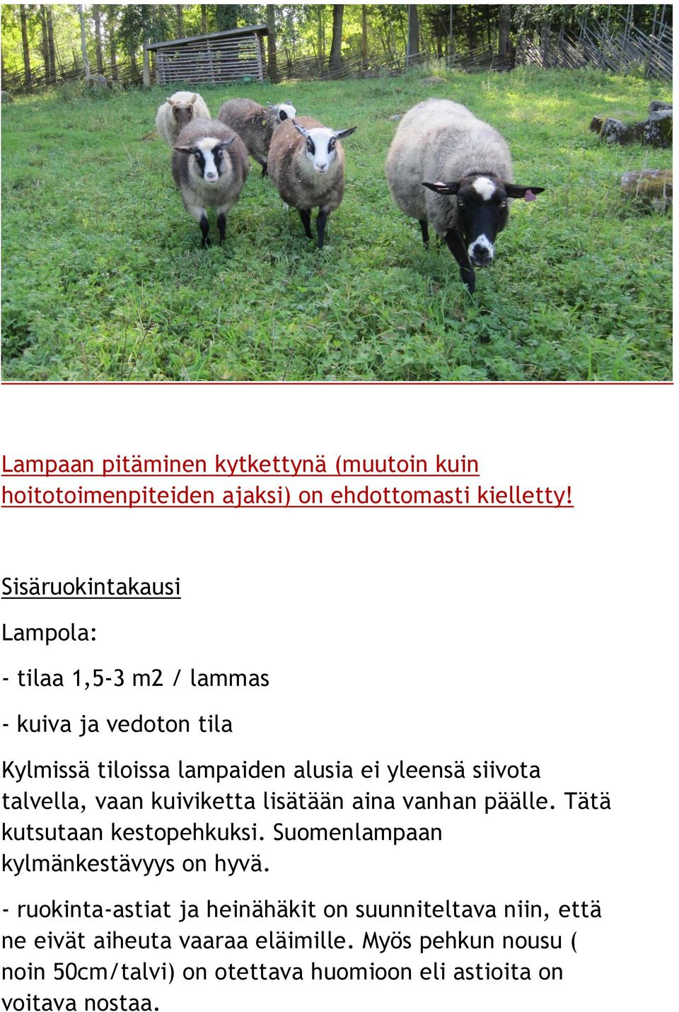 talvella, vaan kuiviketta lisätään aina vanhan päälle. Tätä kutsutaan kestopehkuksi. Suomenlampaan kylmänkestävyys on hyvä.