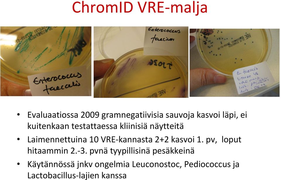 kannasta 2+2 kasvoi 1. pv, loput hitaammin 2. 3.