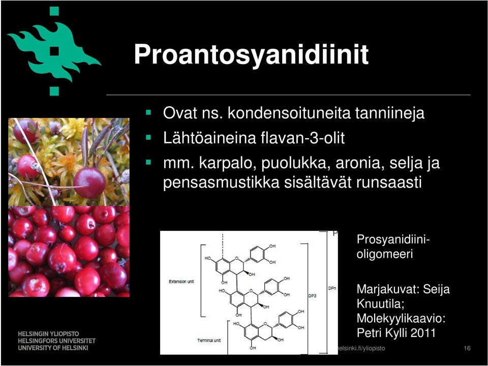 karpalo, puolukka, aronia, selja ja pensasmustikka sisältävät