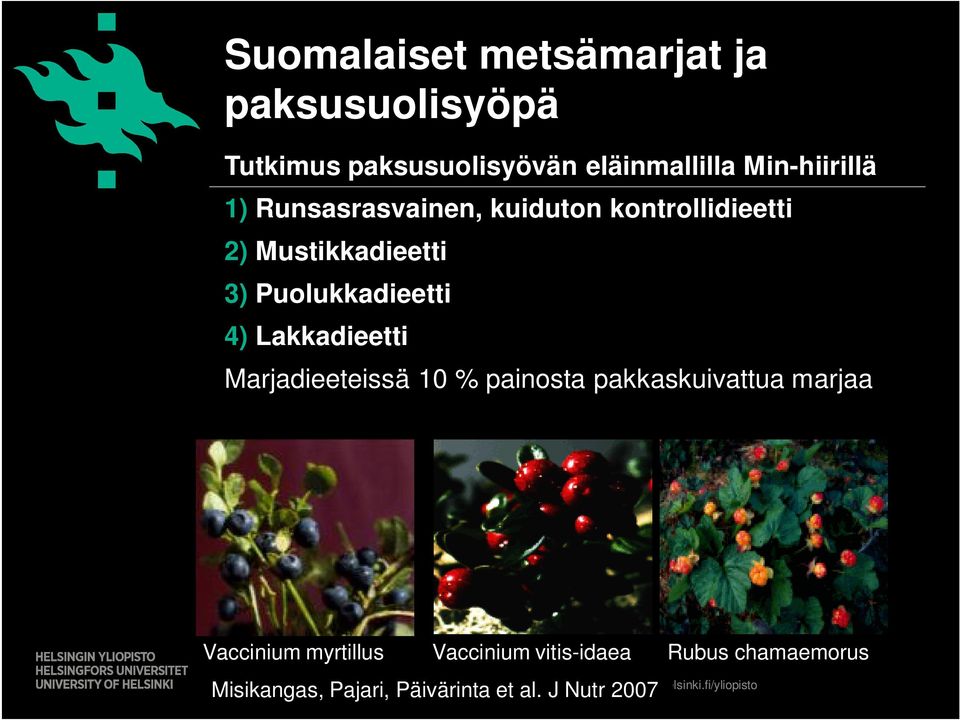 Puolukkadieetti 4) Lakkadieetti Marjadieeteissä 10 % painosta pakkaskuivattua marjaa