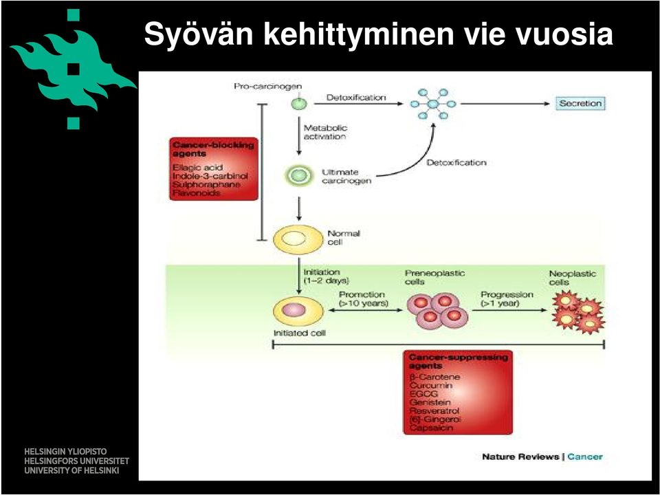 tieteellinen tiedekunta /