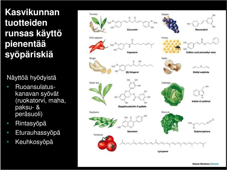 Ruoansulatuskanavan syövät (ruokatorvi,