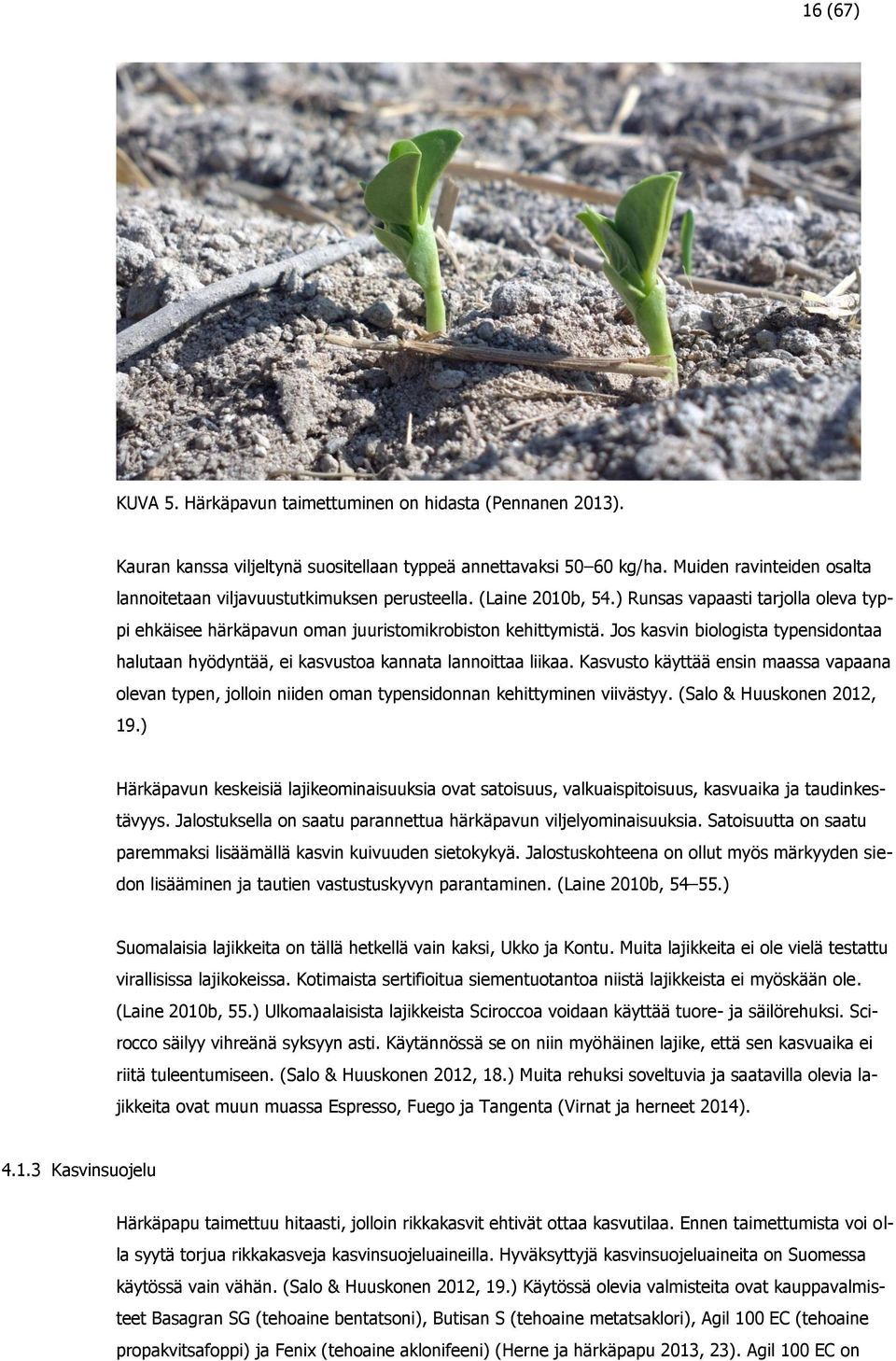 Jos kasvin biologista typensidontaa halutaan hyödyntää, ei kasvustoa kannata lannoittaa liikaa.