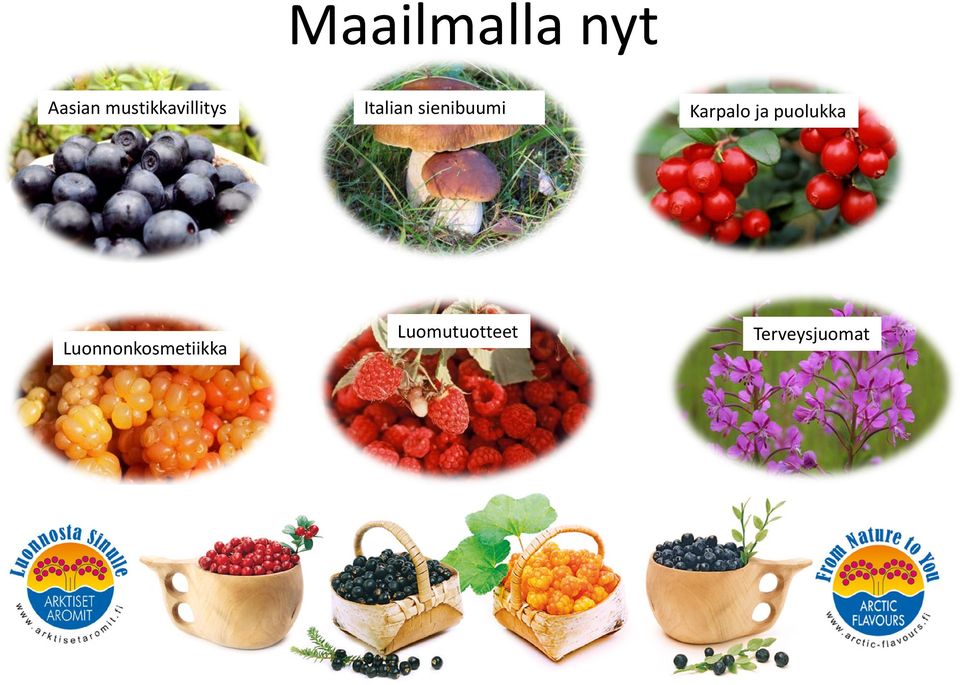 sienibuumi Karpalo ja puolukka