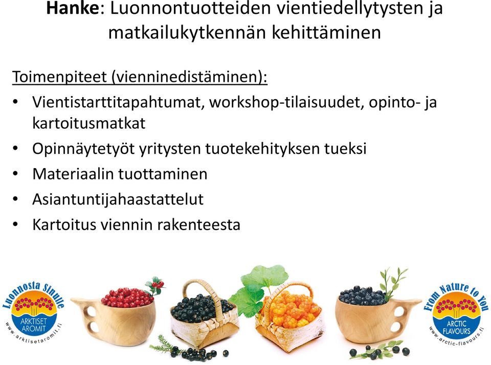 workshop-tilaisuudet, opinto- ja kartoitusmatkat Opinnäytetyöt yritysten