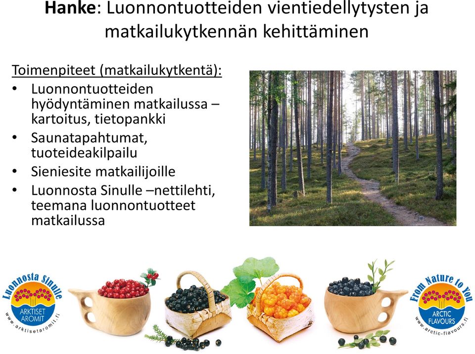 hyödyntäminen matkailussa kartoitus, tietopankki Saunatapahtumat,