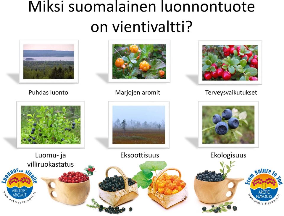 Puhdas luonto Marjojen aromit