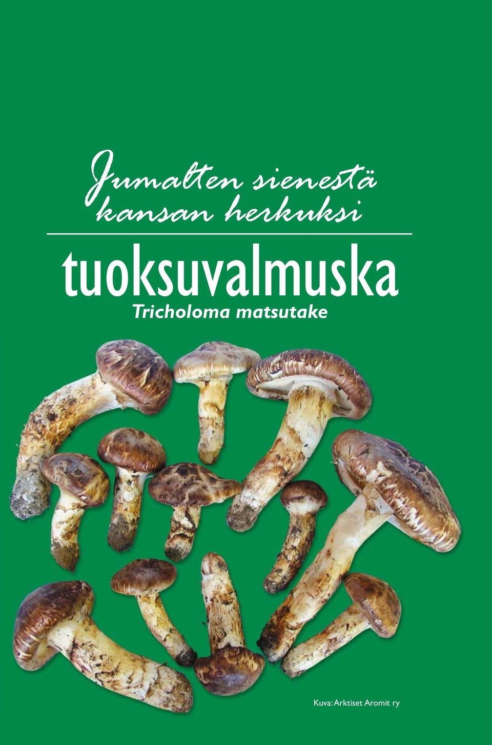 tuoksuvalmuska