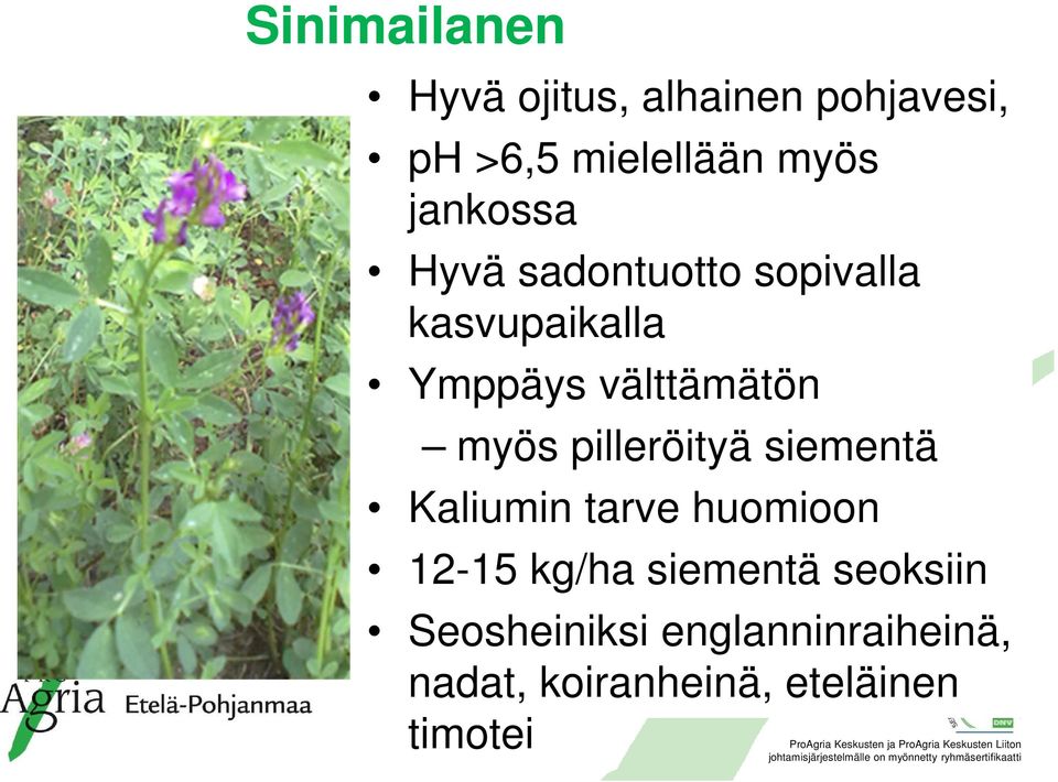 myös pilleröityä siementä Kaliumin tarve huomioon 12-15 kg/ha siementä