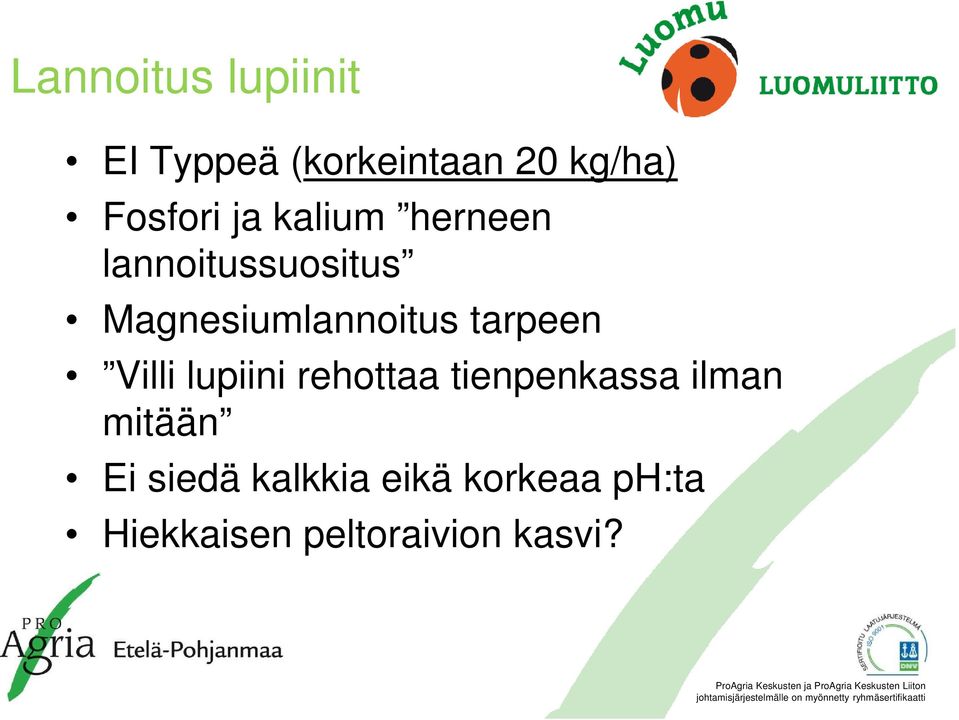 tarpeen Villi lupiini rehottaa tienpenkassa ilman mitään Ei