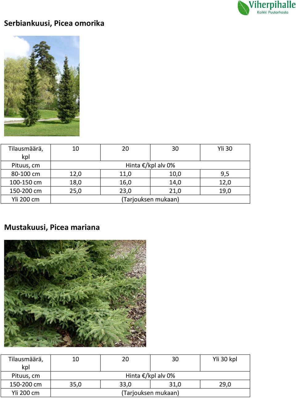 12,0 150-200 cm 25,0 23,0 21,0 19,0 Mustakuusi, Picea