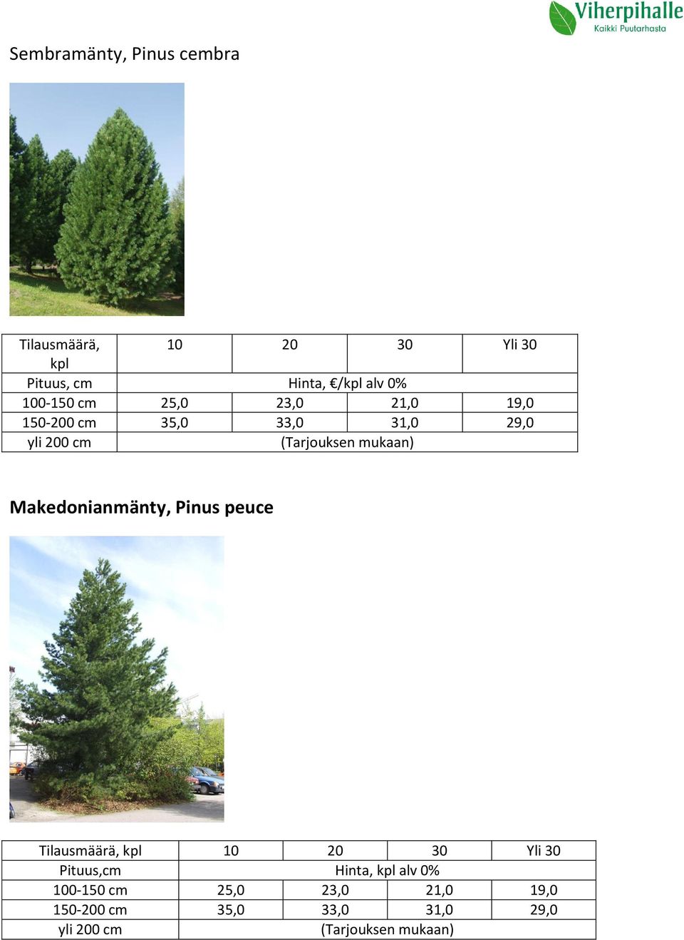 Makedonianmänty, Pinus peuce Tilausmäärä, 10 20 30 Yli 30 Pituus,cm
