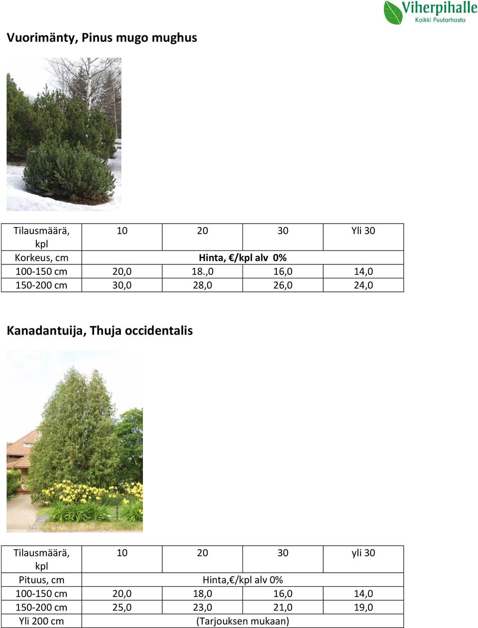 ,0 16,0 14,0 150-200 cm 30,0 28,0 26,0 24,0 Kanadantuija, Thuja