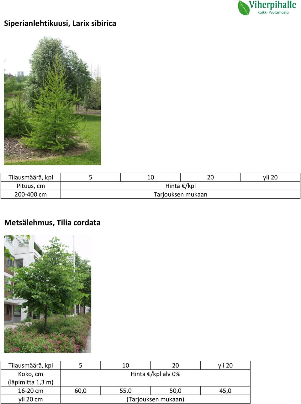 Metsälehmus, Tilia cordata Tilausmäärä, 5 10 20 yli 20 Koko,