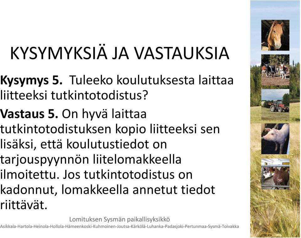 On hyvä laittaa tutkintotodistuksen kopio liitteeksi sen lisäksi, että