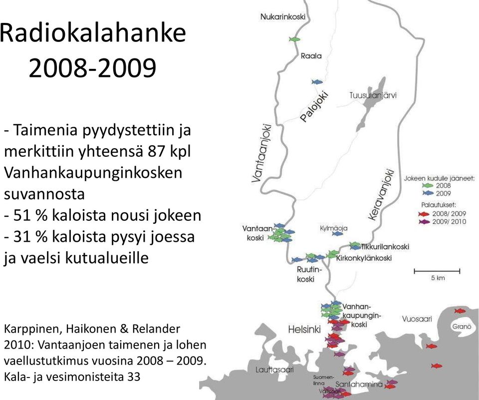 pysyi joessa ja vaelsi kutualueille Karppinen, Haikonen & Relander 2010: