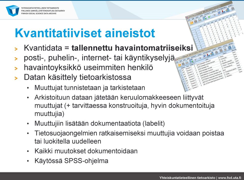 keruulomakkeeseen liittyvät muuttujat (+ tarvittaessa konstruoituja, hyvin dokumentoituja muuttujia) Muuttujiin lisätään