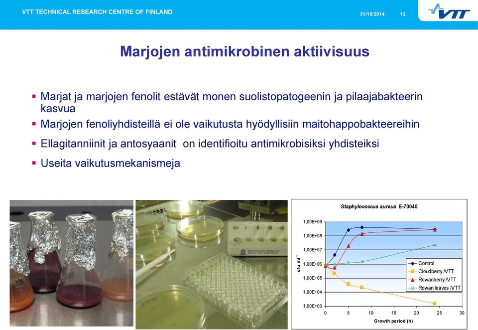 identifioitu antimikrobisiksi yhdisteiksi Useita vaikutusmekanismeja Staphylococcus aureus E-70045 1,00E+09 1,00E+08 1,00E+07 cfu